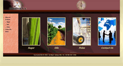 Desktop Screenshot of multifibrassa.cl